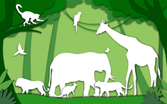 发“国际注册反舞弊师”CAP中英文证书